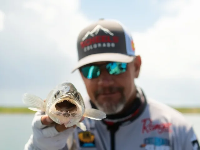 Listing image 802959