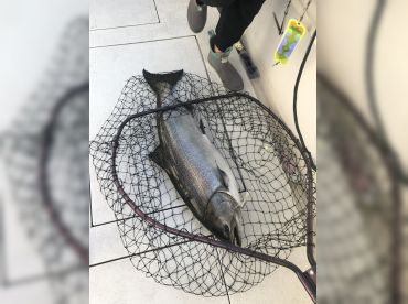 FishGH – Down Time thumbnail