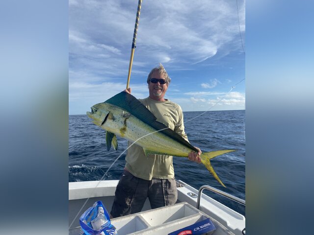 Listing image 801767