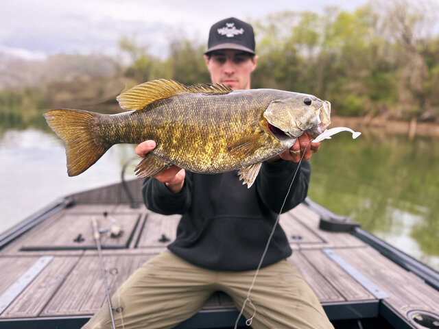 Listing image 1017075