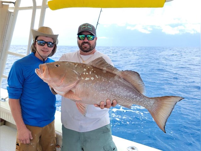 Listing image 803232