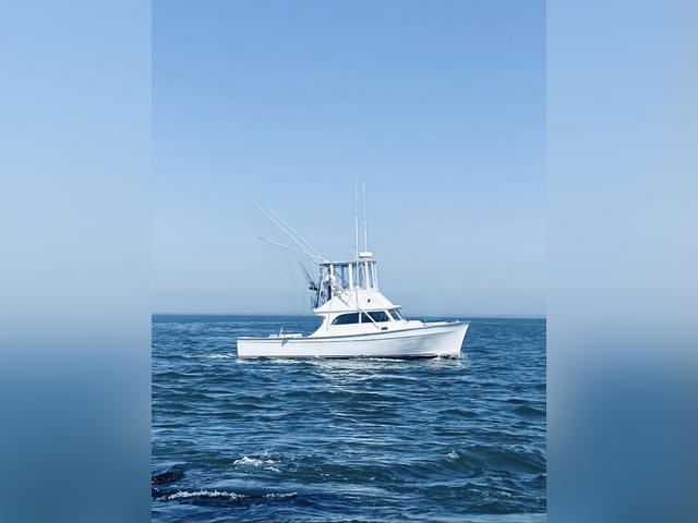 Listing image 1027322