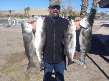 Hooked On Stripers – Lake Mead thumbnail