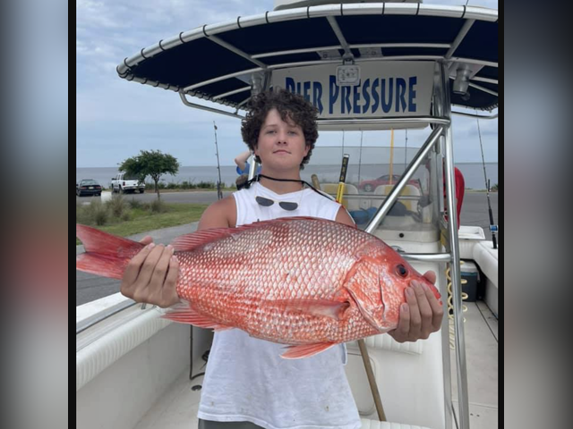 Listing image 808434