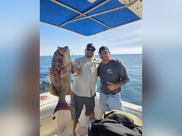 Listing image 1324006