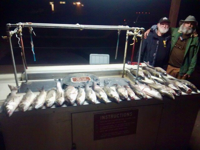 Listing image 934992