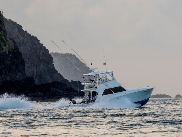 Listing image 951705