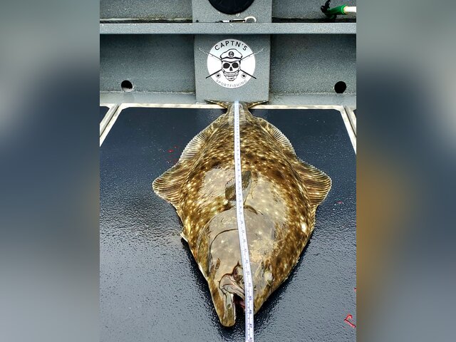 Listing image 831237