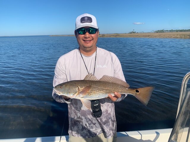 Listing image 808196