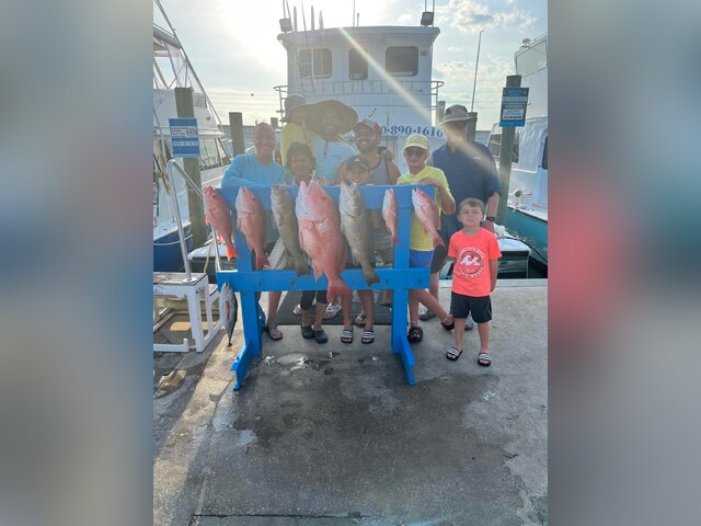 Listing image 815216