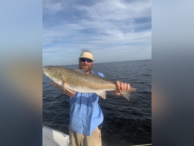 Listing image 811621