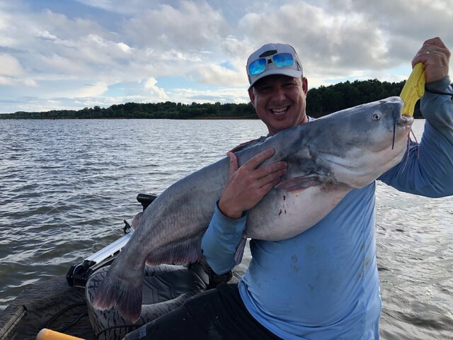 Listing image 974908