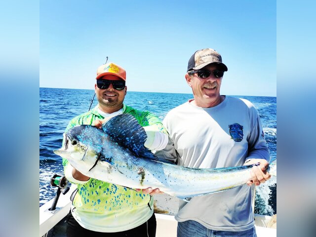 Listing image 826751