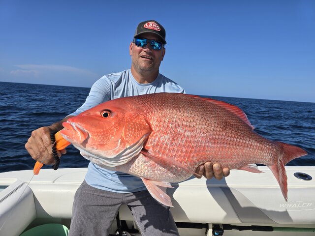 Listing image 1182058