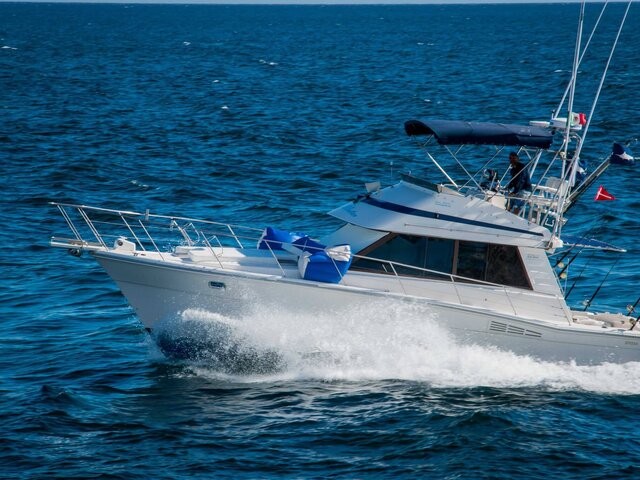 Listing image 819053