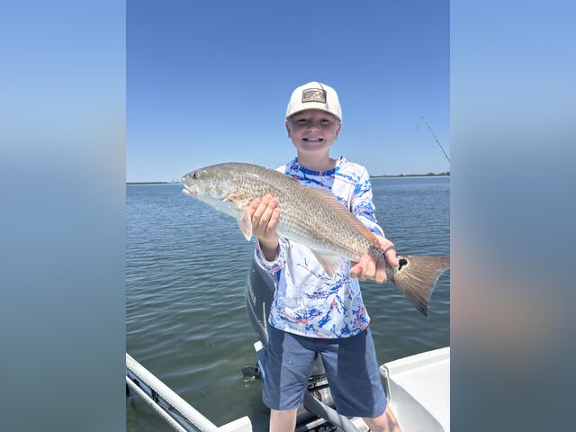 Listing image 1181613