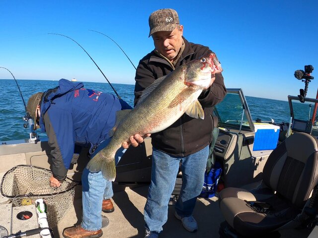 Listing image 817440