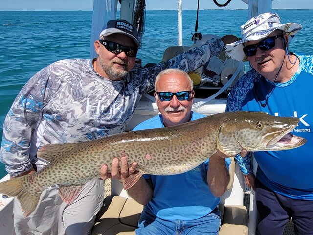 Listing image 817641