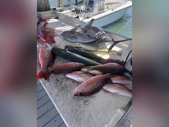 Listing image 1358256