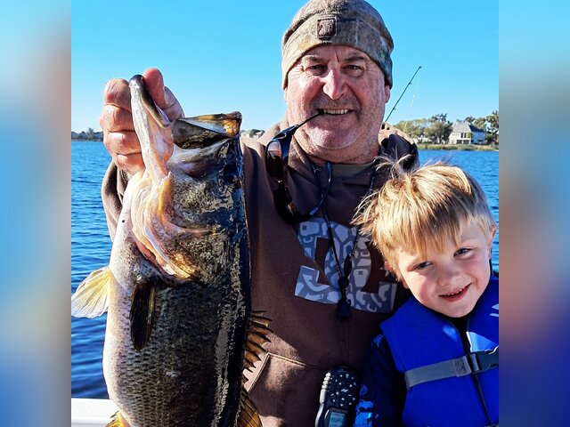 Listing image 993425