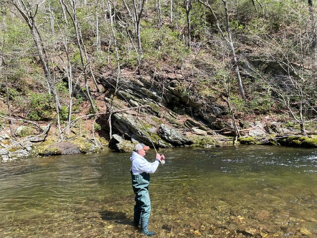 Listing image 830359