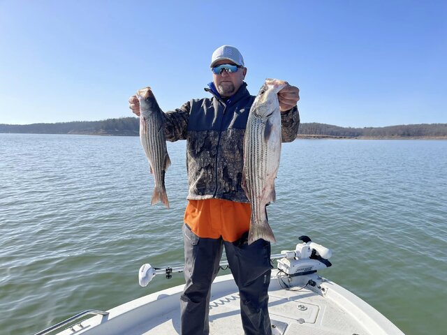 Listing image 822988