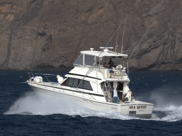 Sea Quest Sport Fishing