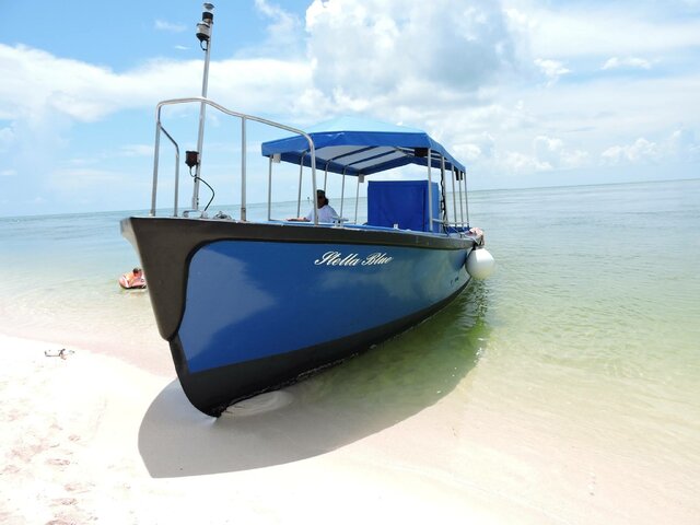 Listing image 865352