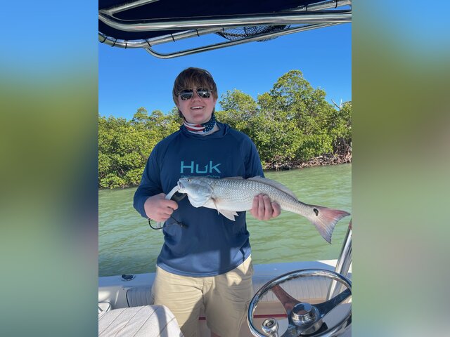 Listing image 821371