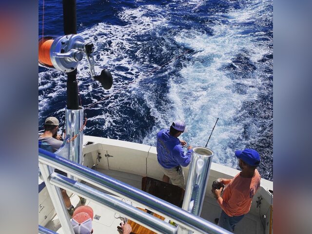 Listing image 822340