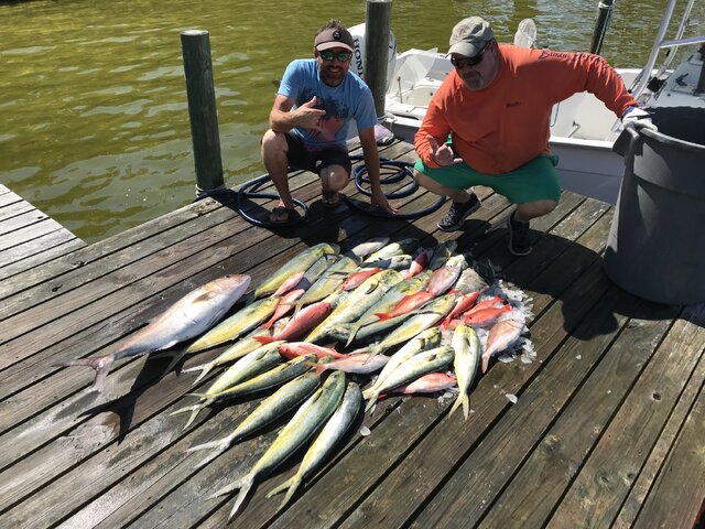 Listing image 823078