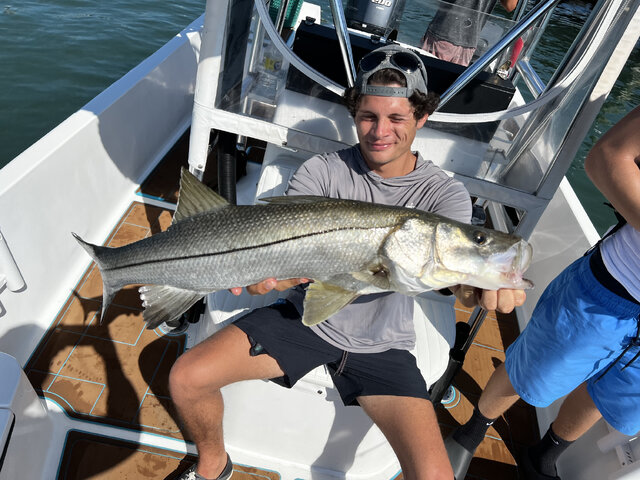 Listing image 824574