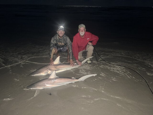 Listing image 827258