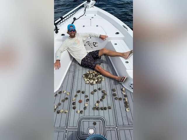 Listing image 1068558