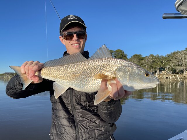 Listing image 830875