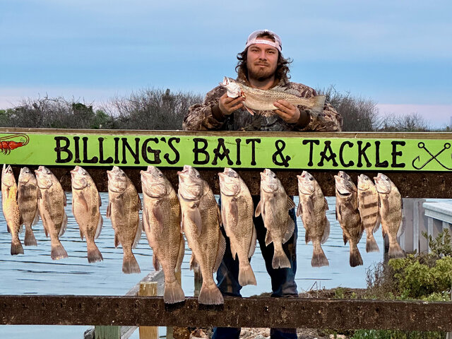 Listing image 1164376