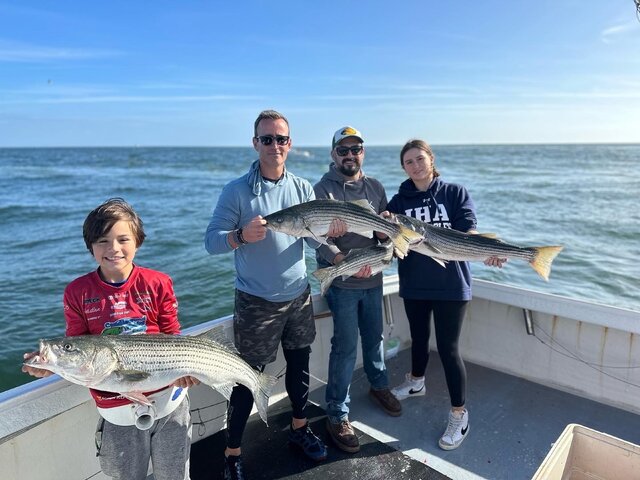 Listing image 833889