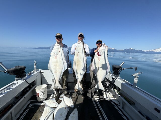 Listing image 1294039