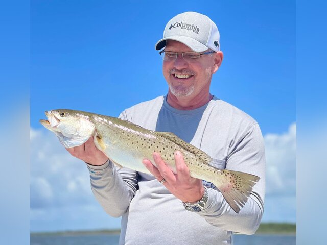 Listing image 890479