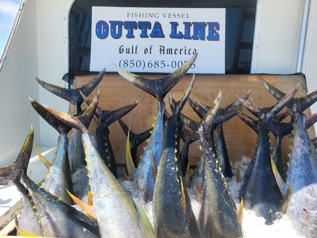 Listing image 1214291