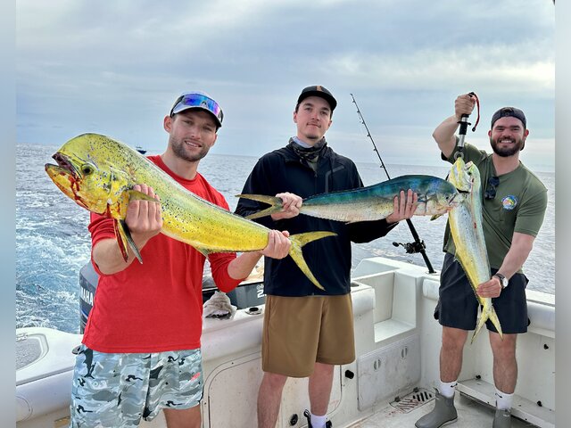 Listing image 872506