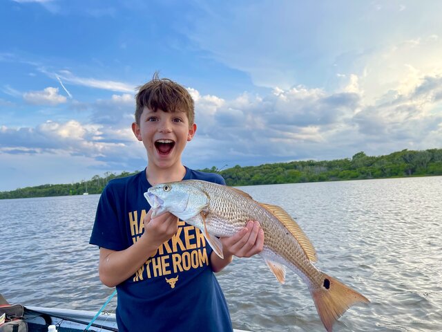 Listing image 836490