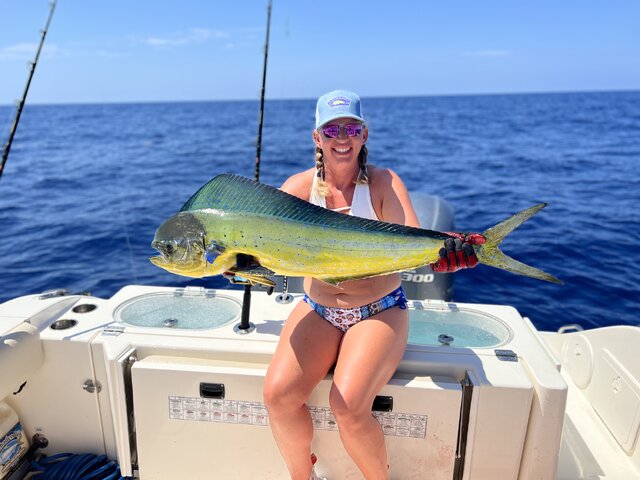 Listing image 836938