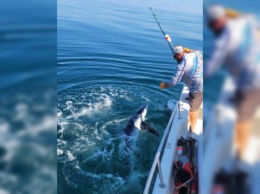 The Struggle Is Reel Charters