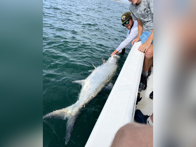 Listing image 916312