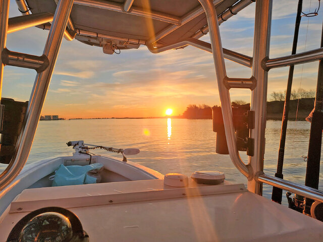 Listing image 850751