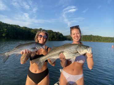 Kingfishers Guide Service thumbnail