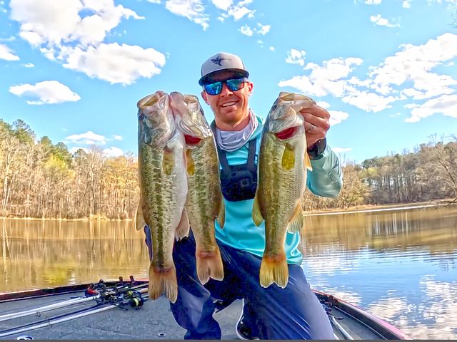 Listing image 948753