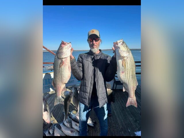 Listing image 988846