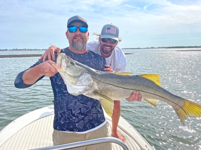 Listing image 857319